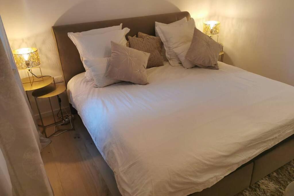 ストラスブールMagnifique F3, 75M² Avec Parking Prive Et Terrasseアパートメント エクステリア 写真